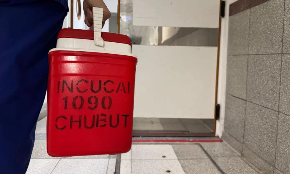 INCUCAI