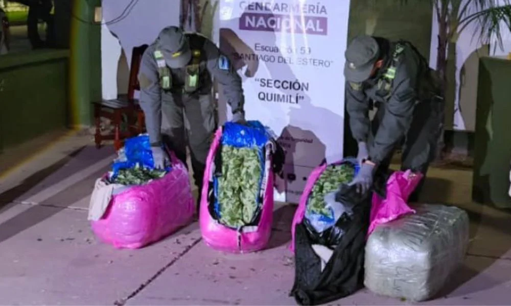 Un micro llevaba 768 kilos de coca al conurbano