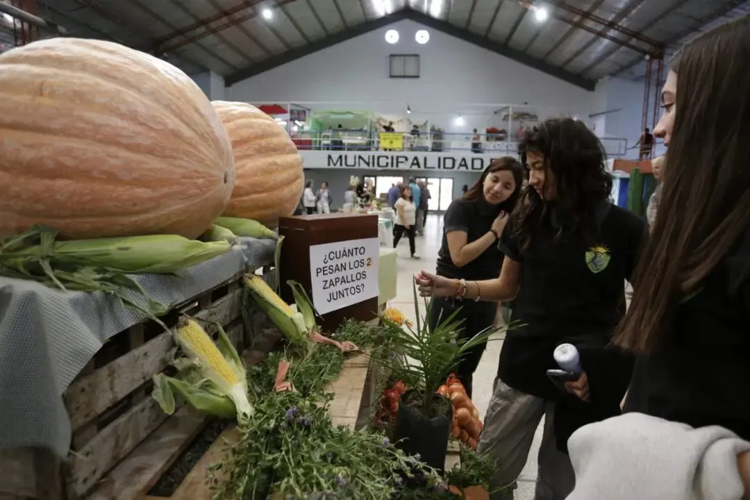 Comenzo en Gaiman la 38 edicion de la muestra del valle