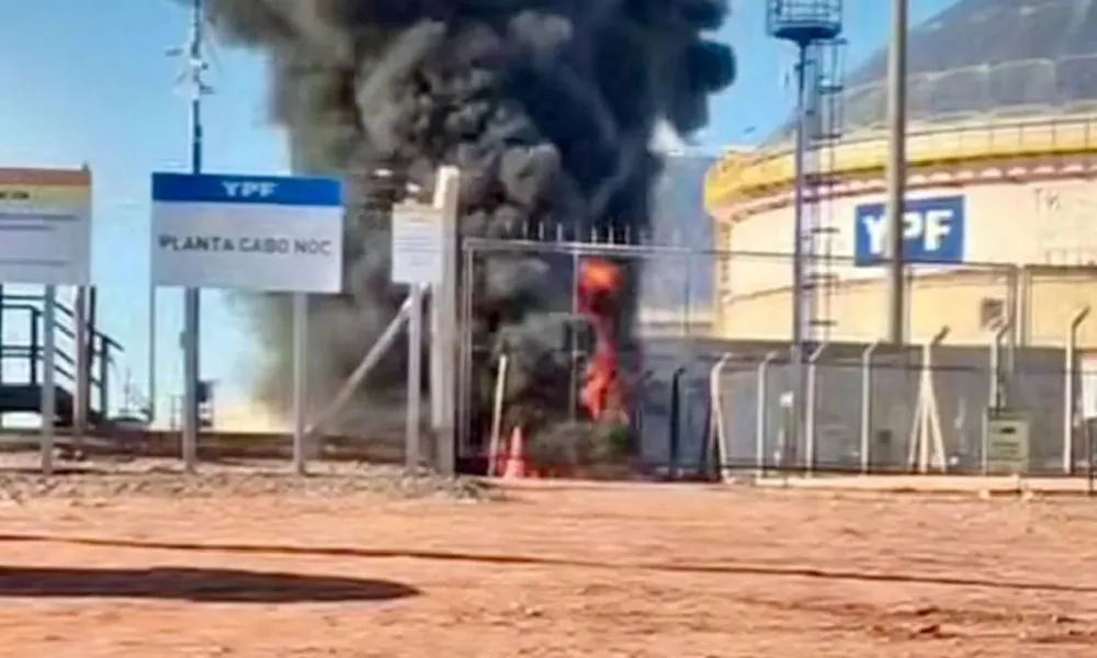 Incendio Vaca Muerta Sur Foto LMN