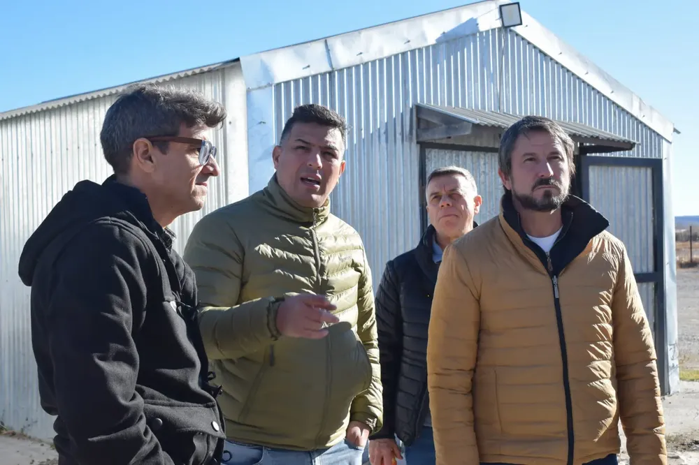 Balochi y Merino en Sarmiento