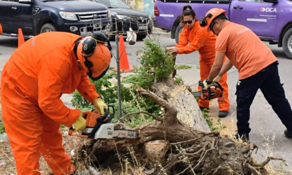 Trabajos de cuadrilla municipal