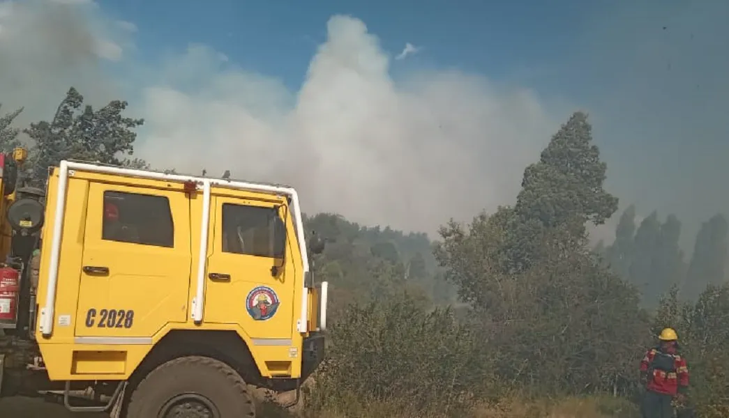 Incendio en Los Cipreses