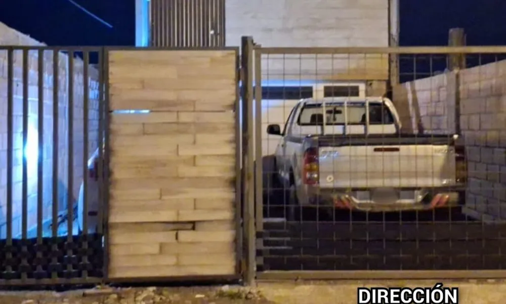 Saltó un paredón para robar en una casa de Trelew
