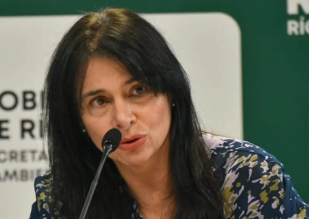 andrea confini