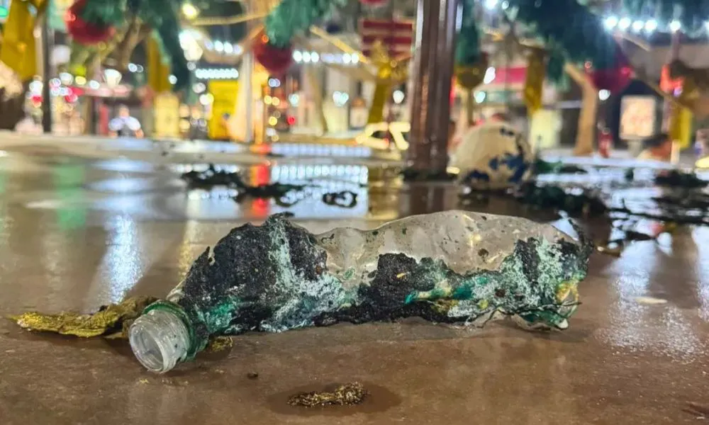 Incendiaron un árbol de Navidad en Mendoza. Foto Diario UNO