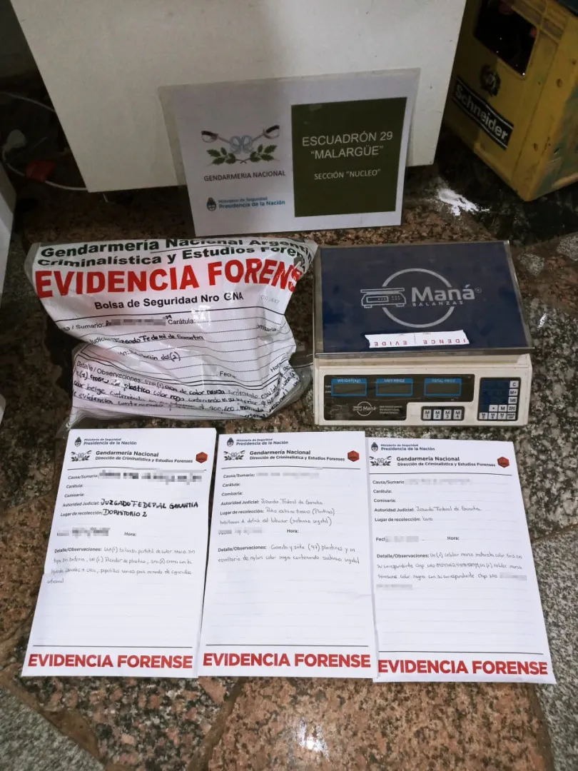 Detienen a una mujer vinculada a una red de narcotráfico