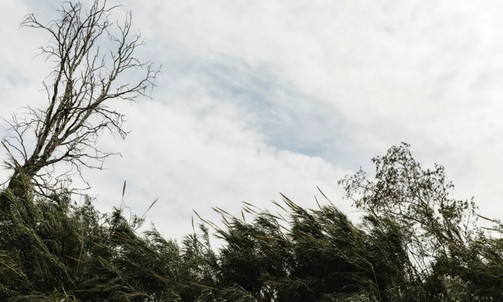 Vientos fuertes foto ilustrativa Freepik