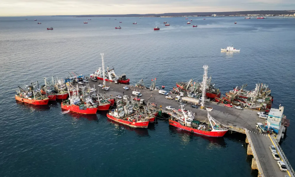 Trazabilidad en la pesca de Chubut