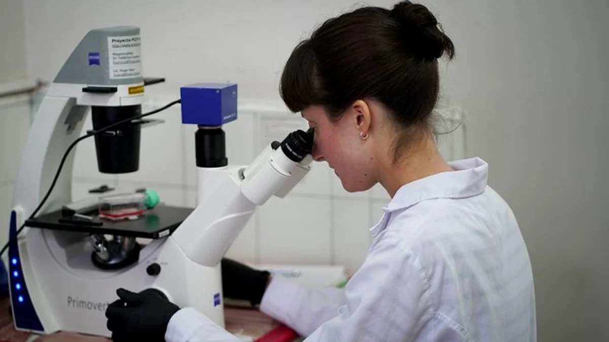 María Alicia Delfino trabaja en el laboratio Foto Camila Aloso Suarez