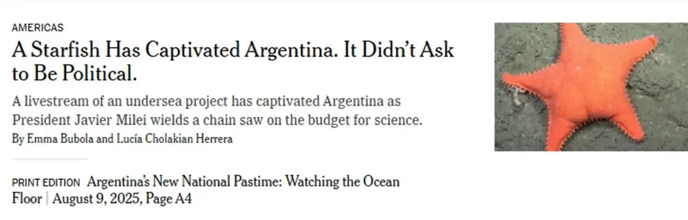 new york times