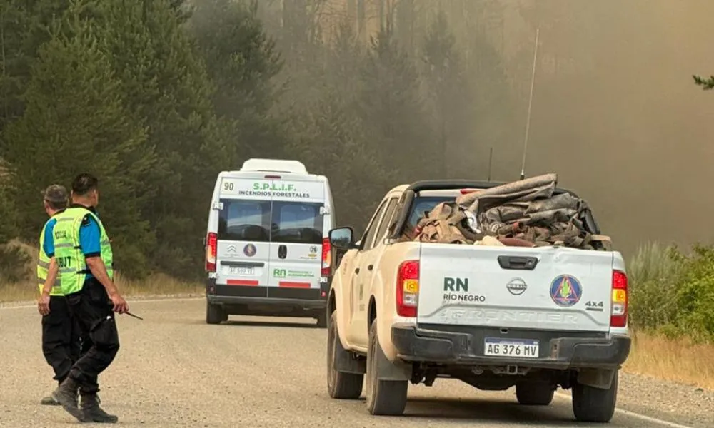 Incendios en la Cordillera 2026 5