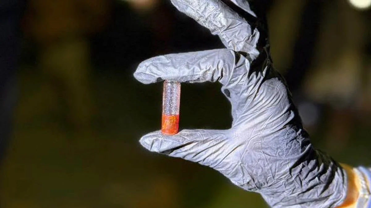 Secuestran marihuana en la localidad misionera de Jardín América