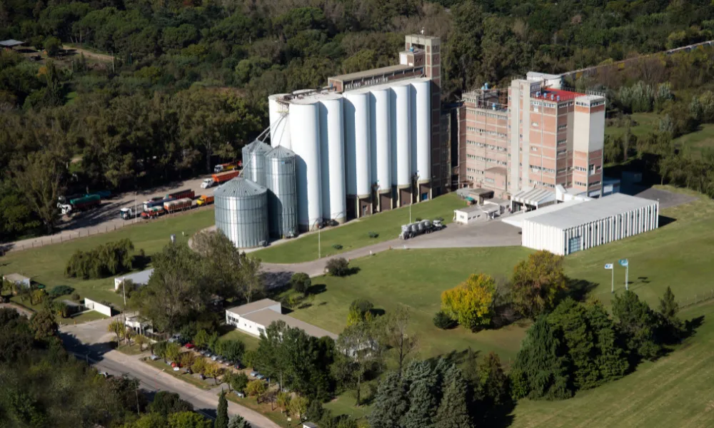 molino argentino