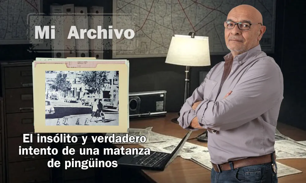 El insólito y verdadero intento de una matanza de pingüinos