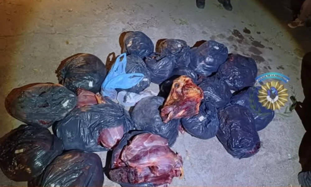 El vehículo llamó la atención por las condiciones en las que circulaba