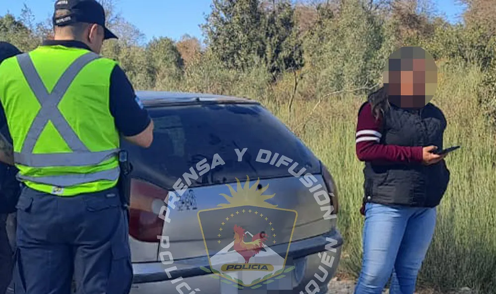 Decomisan carne de ciervo ilegal
