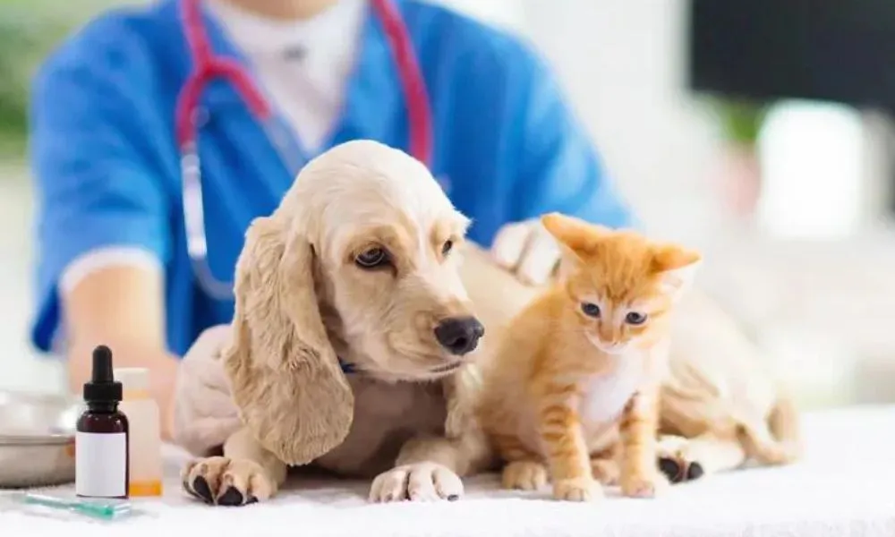 vacunas y desparasitación tw