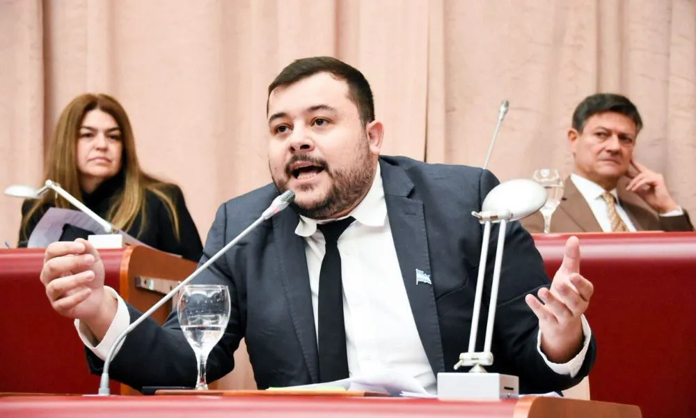 Diputado Emanuel Fernández
