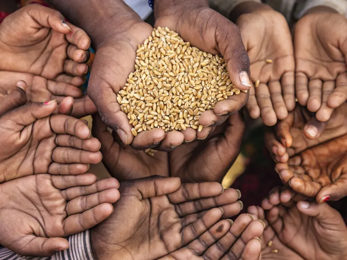 Hambre mundial según ONU