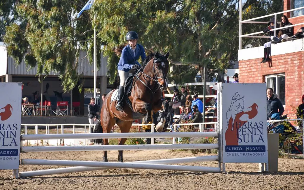 FM Ecuestre y Canino, instalaciones para caballos y instalaciones para  perros