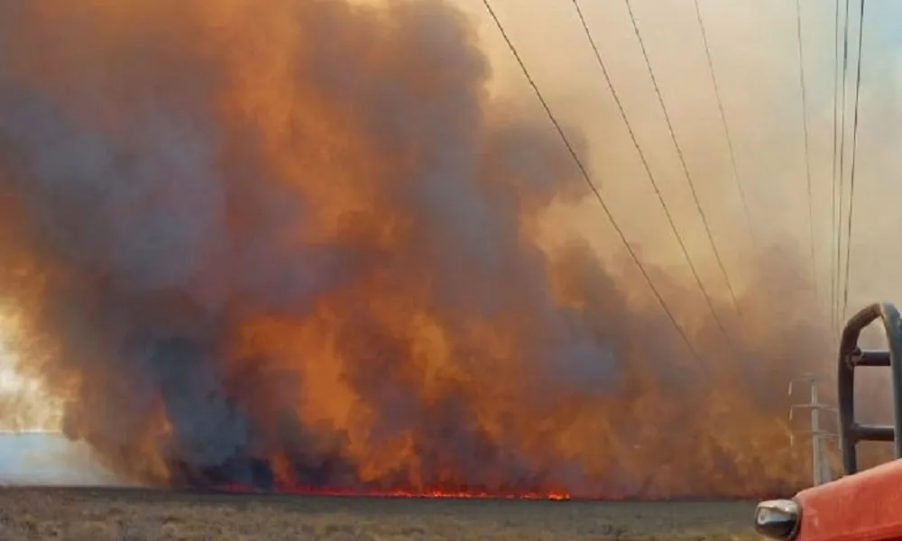 incendio bajo simpson