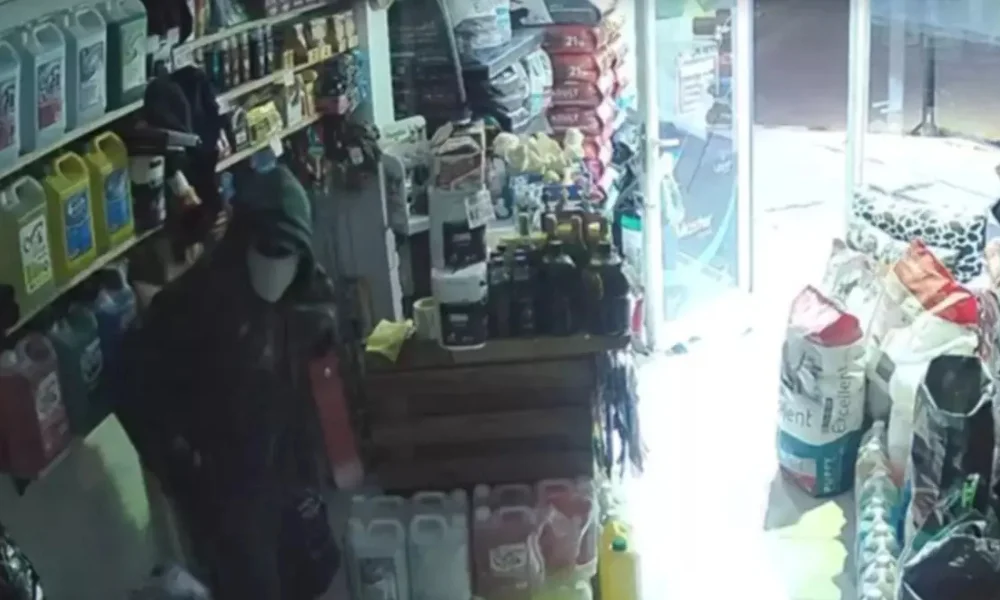 cámara de seguridad de la forrajeria 