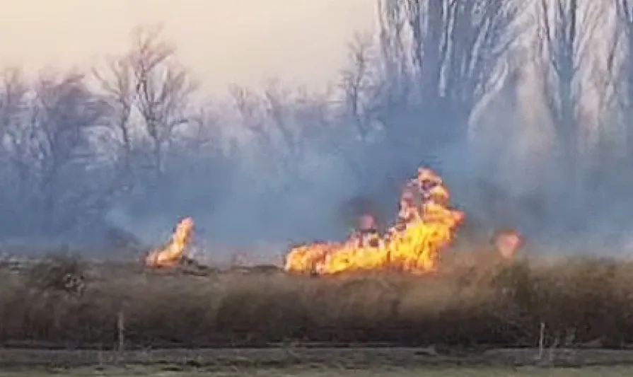 Foto Diario Jornada- incendio en el valle