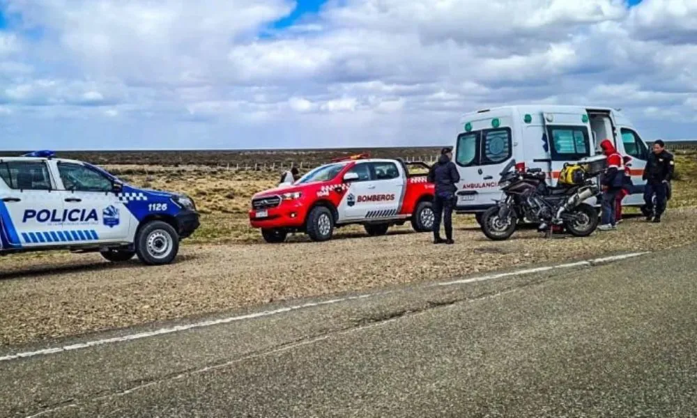 Chocó con un guanaco en la Ruta 3