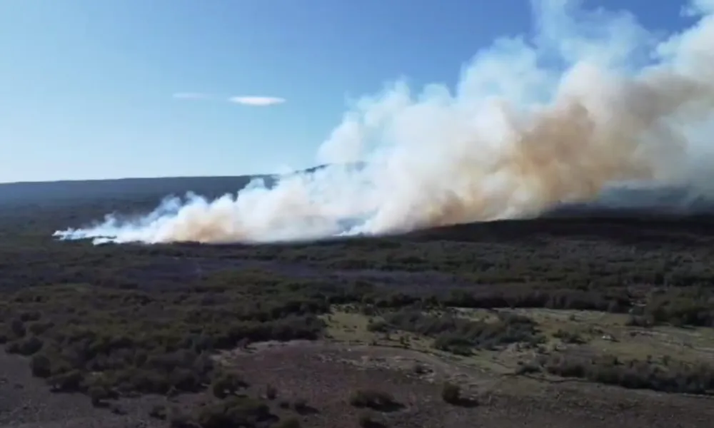 Incendio forestal en la zona de Río Pico