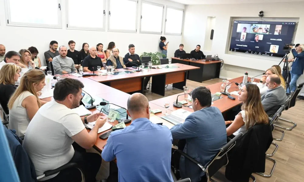 comisión de asuntos constitucionales