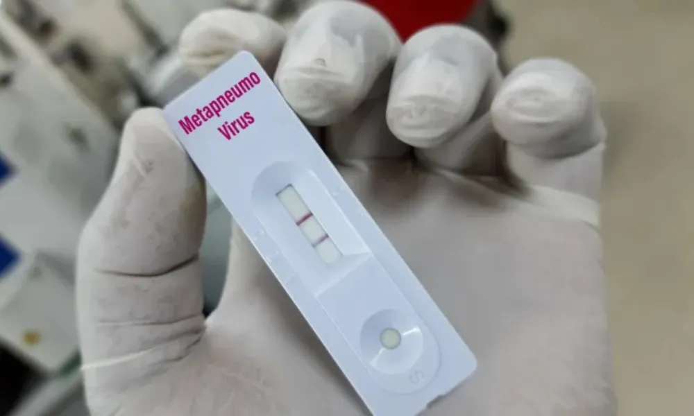 metapneumovirus humano