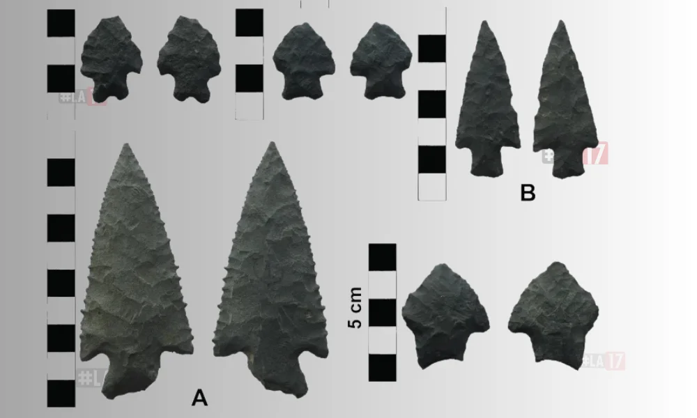 Flechas originarias