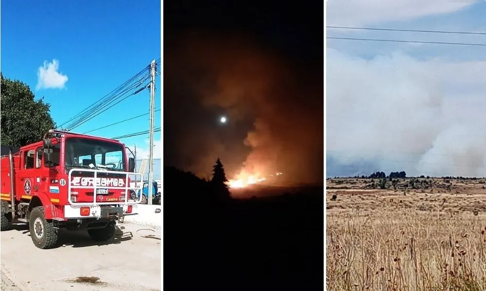 INCENDIO EN TREVELIN