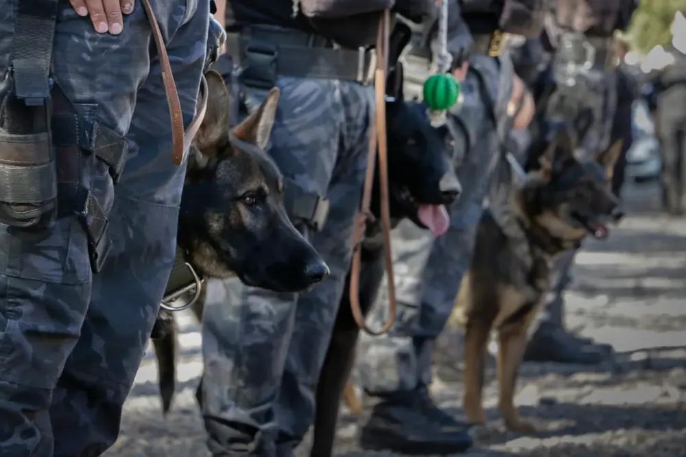 WhatsApp Image 2024-04-04 at 3.59.05 PM