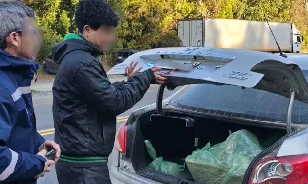 Decomisaron salamines y churros vencidos ingresados desde Bariloche (Foto: LM Neuquén)