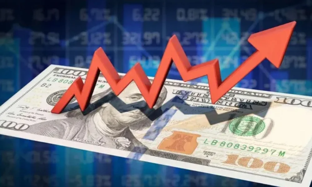 Rebotó el dólar