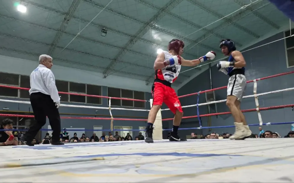 Arena de Gladiadores IV