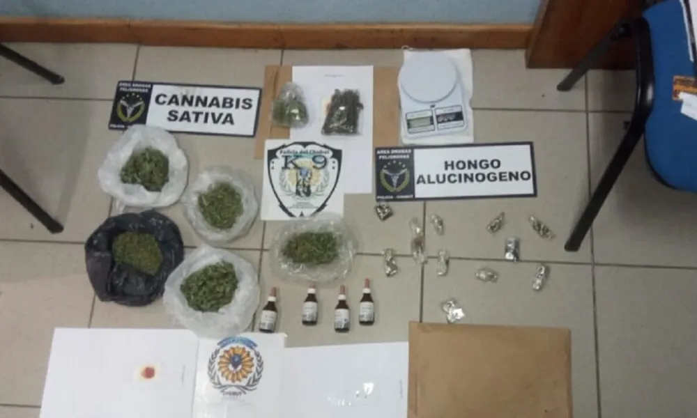Secuestro de hongos y marihuana en Esquel