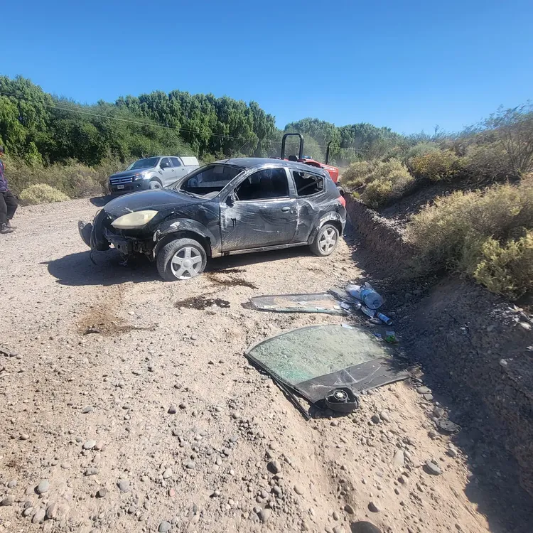 WhatsApp Image 2024-02-09 at 16.42.26