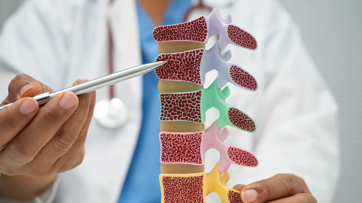 Osteoporosis. Foto Magnific
