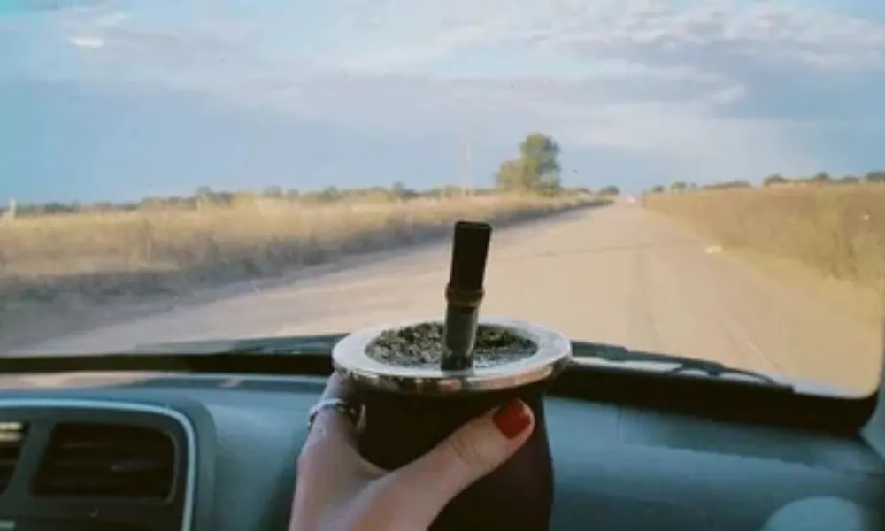 Mate