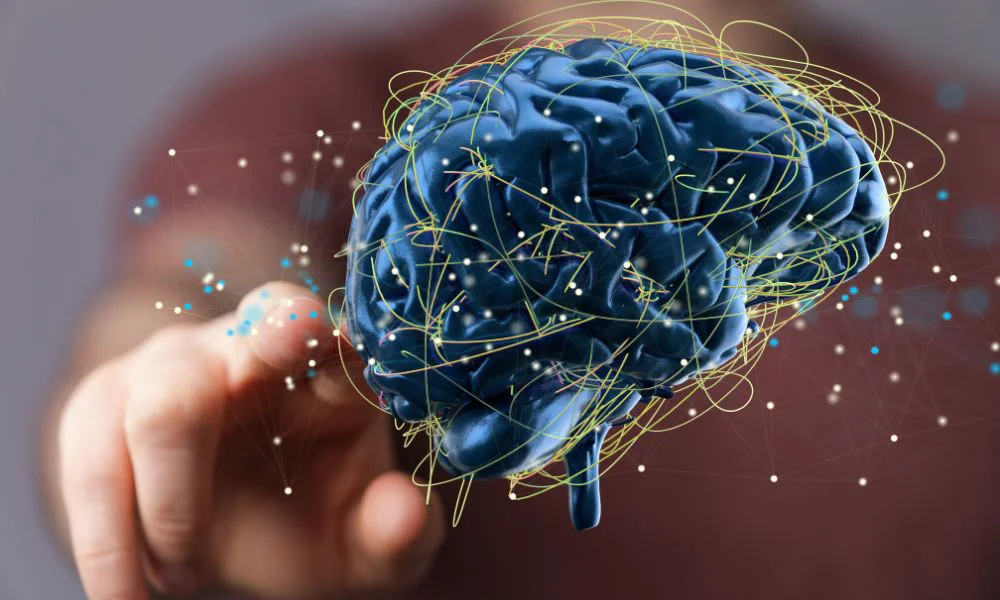 Cerebro. Foto Freepik