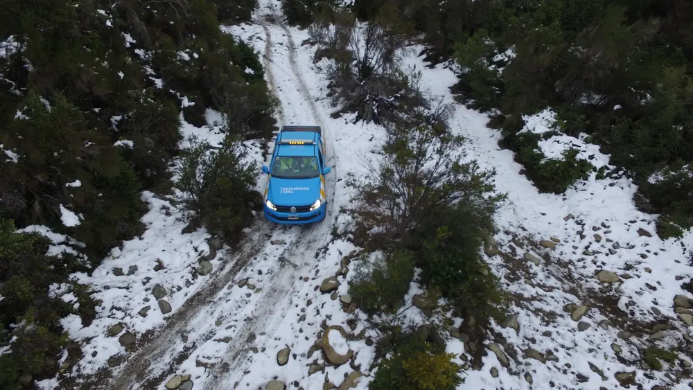 camino nieve