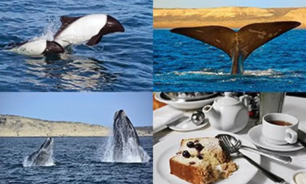 Turismo Gaiman y Puerto Madryn