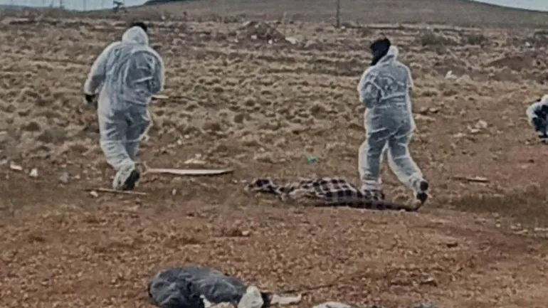 Asesinato