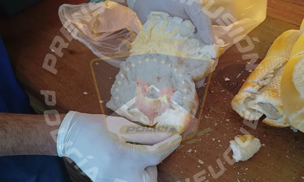 Intentan ingresar droga a una comisaría