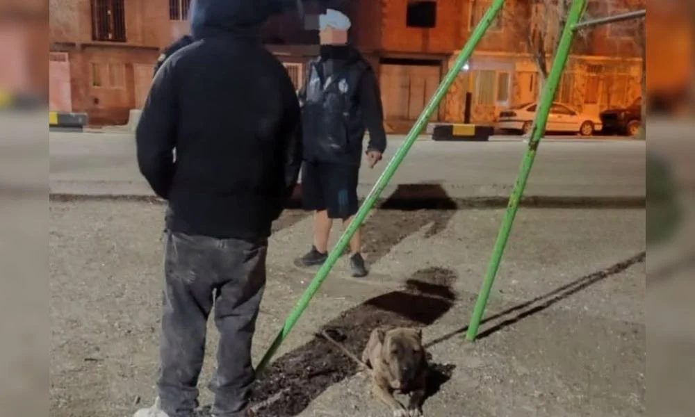 Intento de robo en Puerto Madryn