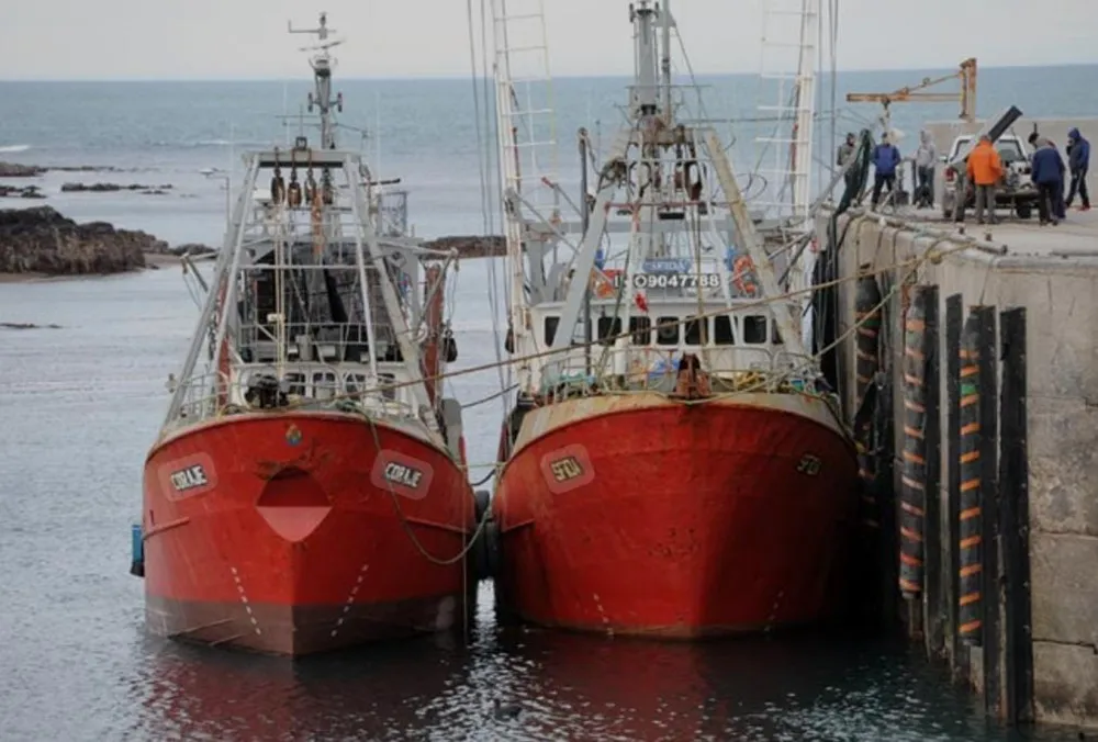 Pesca Camarones