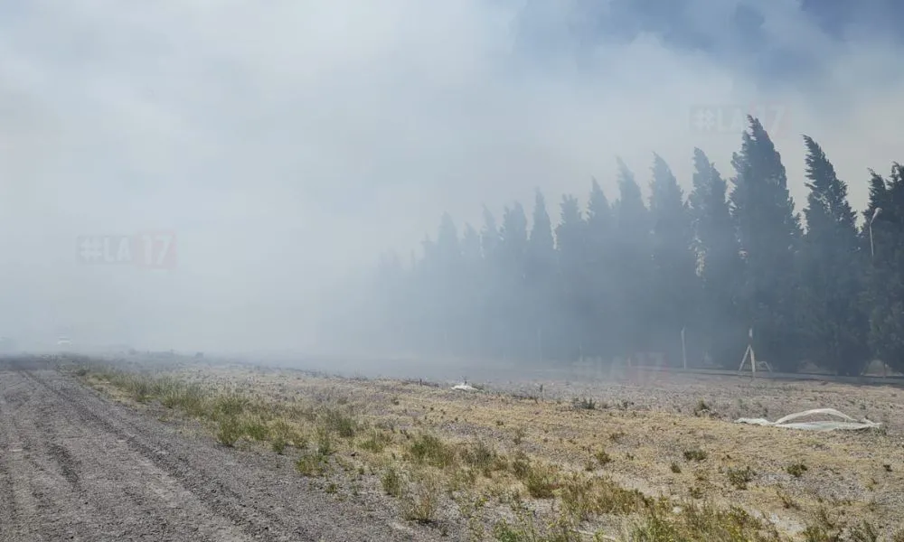 Incendio en Conarpesa